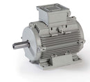 LOW VOLTAGE MOTOR; 110KW 2P; 400/690V 50Hz; IMB3 MOUNTING; ALUMINUM; P/N:C315ST-2; ELECTRO-ADDA